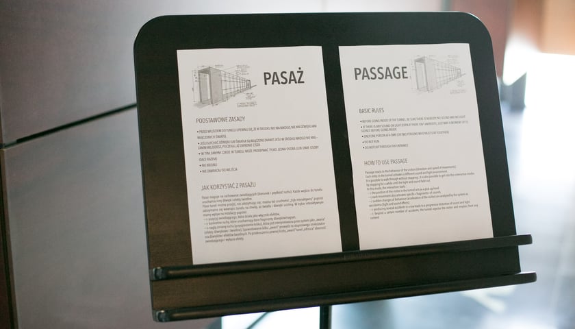 „Pasaż” Pierre’a Jodlowskiego do zwiedzania w NFM