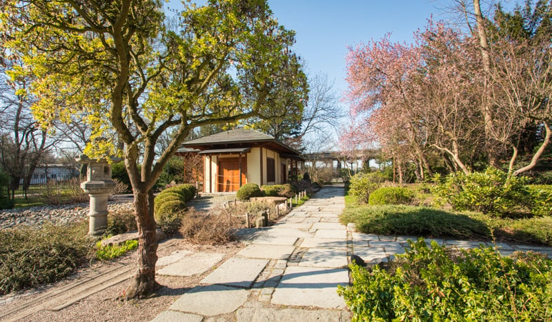 Ogród Japoński otwarty od 15 maja