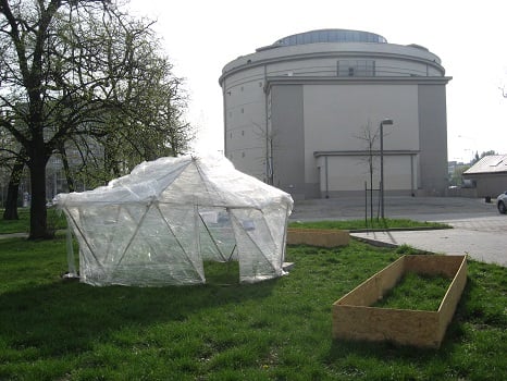 Posadź marchewkę za Muzeum Współczesnym Wrocław