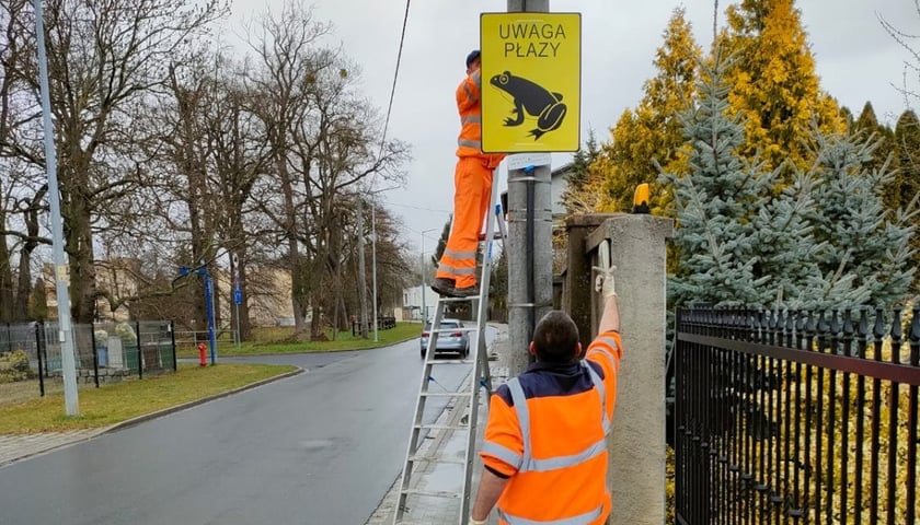 Tablica "Uwaga płazy" na Maślicach