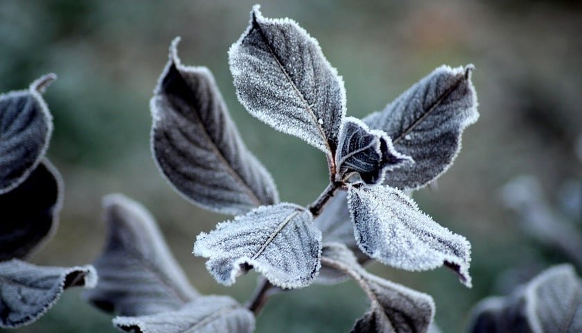 Ostrzeżenia meteorologiczne obowiązuje w prawie całym kraju