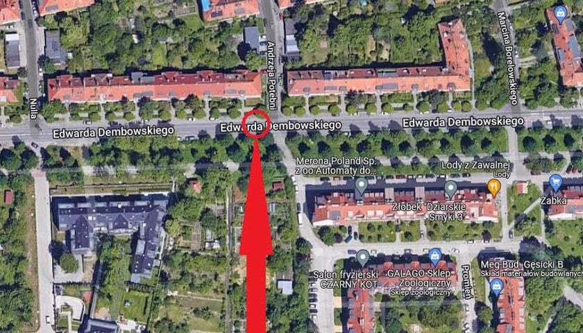 Na ul. Dembowskiego pojawi się przejście dla pieszych