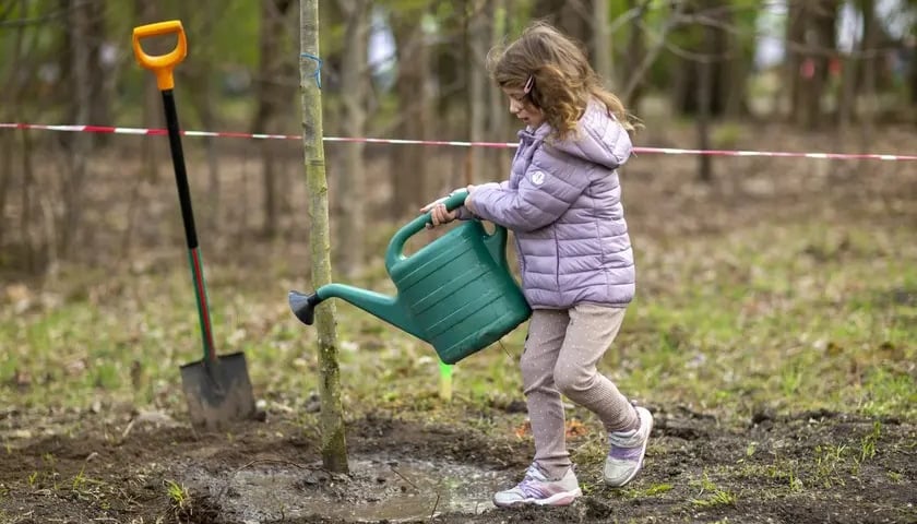 Park na Skraju na Brochowie. 6-letnia Natalia podlewa świeżo zasadzone drzewo. Wiosna 2022.