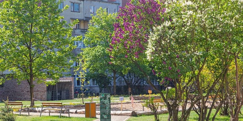 Jedno z podwórek na Ołbinie, gdzie zieleń i przestrzeń uporządkowano w ramach projektu Grow Green. Zdjęcie ilustracyjne