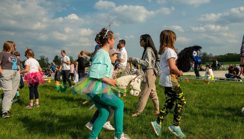 Hobby Horse Partynice