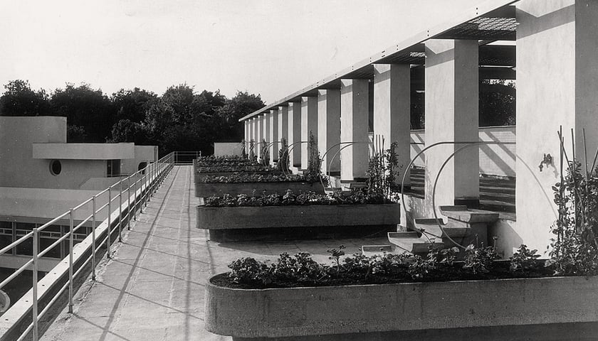 Dom hotelowy dla osób samotnych i małżeństw bezdzietnych nr 31, proj. Hans Scharoun, taras na dachu.