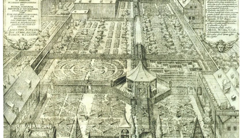 XVI w. renesansowy ogrody Laurentiusa Scholza,