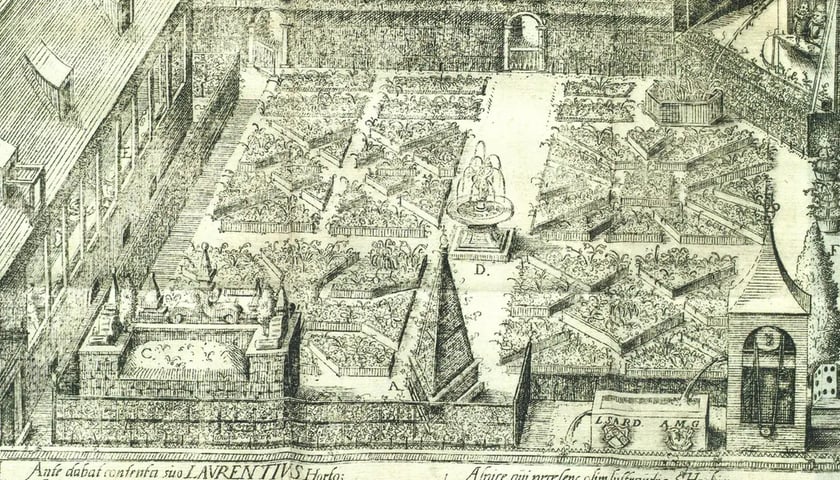 XVI w. renesansowy ogrody Laurentiusa Scholza,