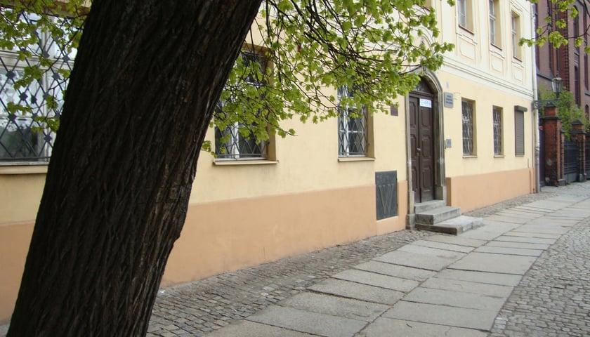 W serialu zagrało też stojące wciąż przed obecnym Muzeum Archidiecezjalnym drzewo