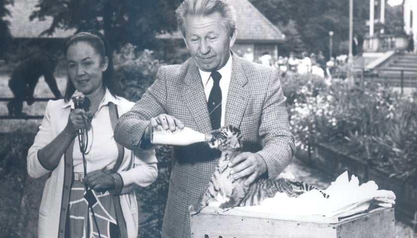 Program Hanny i Antoniego Gucwińskich przyciągał przed telewizory miliony widzów