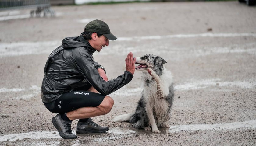 W towarzystwie psa trenuje między innymi najlepszy polski biegacz górski, Bartłomiej Przedwojewski z Wrocławia