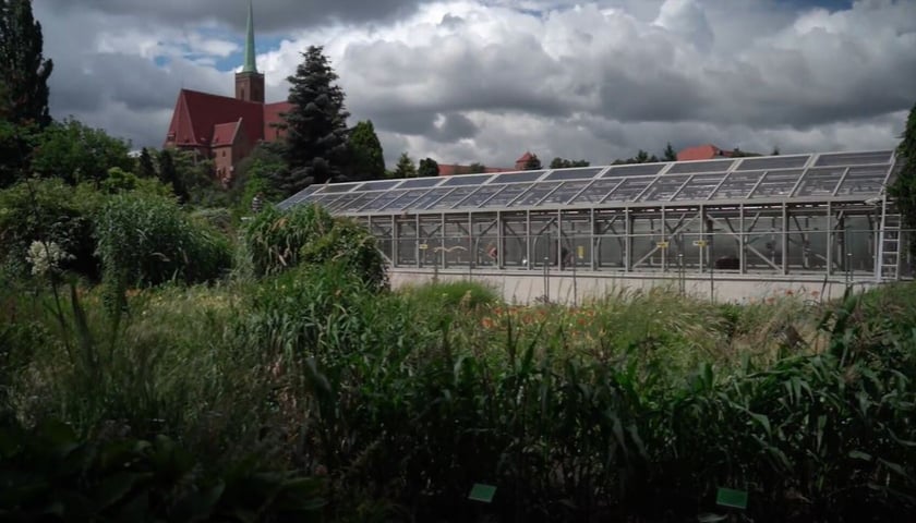Nowe szklarnie w Ogrodzie Botanicznym