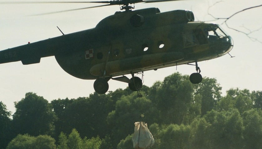 transport martwej zebry