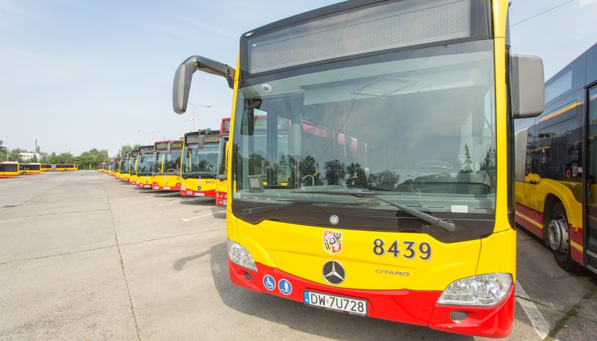 autobusy komunikacji miejskiej, zdjęcie ilustracyjne