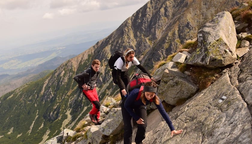 W programu dwutygodniowego obozu są wyprawy w Tatry