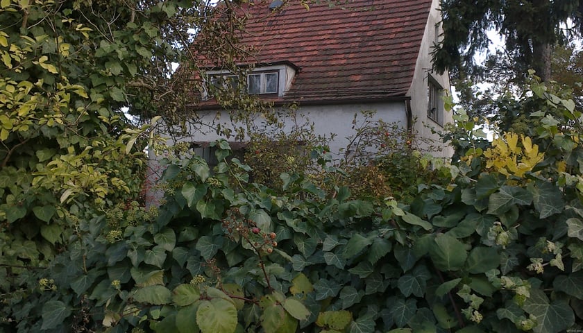 Na Ołtaszynie obcy nie zginie