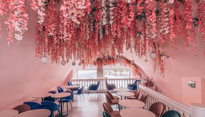 Różowa kawiarnia Blossome Cafe we Wrocławiu