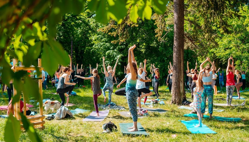 Joga w Parku Śniadaniowym