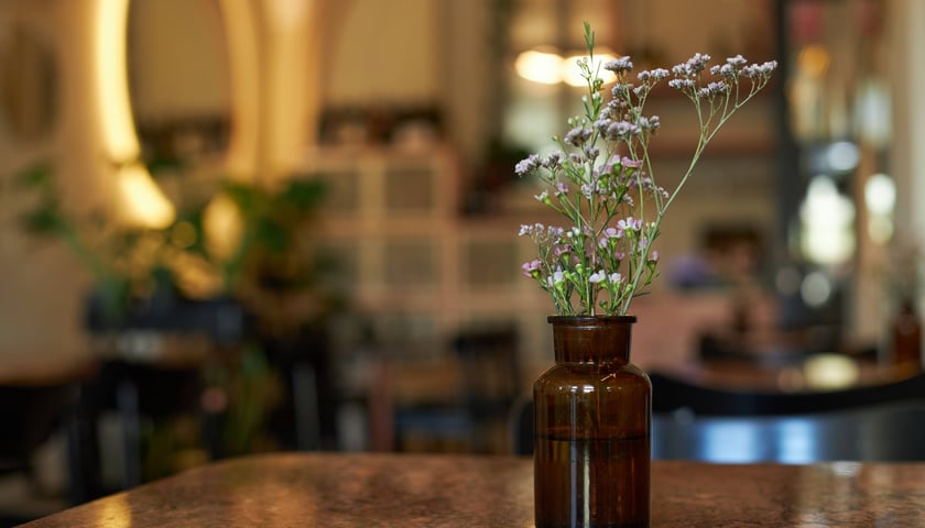 Restauracja Młoda Polska bistro & pianino we Wrocławiu na pl. Solnym