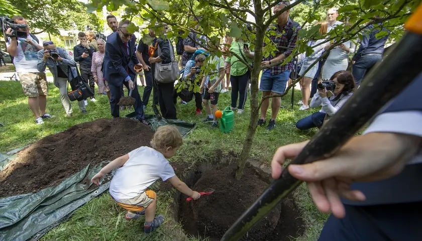 dąb Edyty Stein zasadzony 8 sierpnia 2022 r.