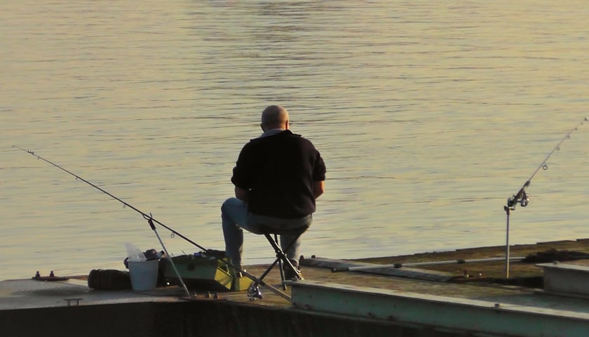 Od dzisiaj, 11 sierpnia, obowiązuje zakaz łowienia ryb na dolnośląskim odcinku Odry