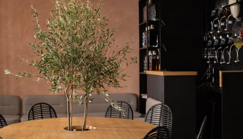 Pestka Bistro Wrocław to świetna propozycja dla tych, którzy uwielbiają włoską kuchnię.