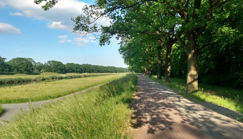 Jedną z najpiększniejszych tras rowerowych, biegnących przez Wrocław i wychodzącą poza jego granice jest ta prowadząca wałami nad Odrą. Znajdziecie ją również w aplikacji - Dolny Śląsk Rowerem