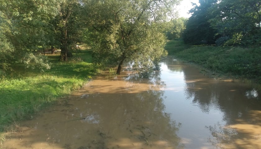 Wysoki poziom wody w rzece Ślęza przy moście na Klecinie