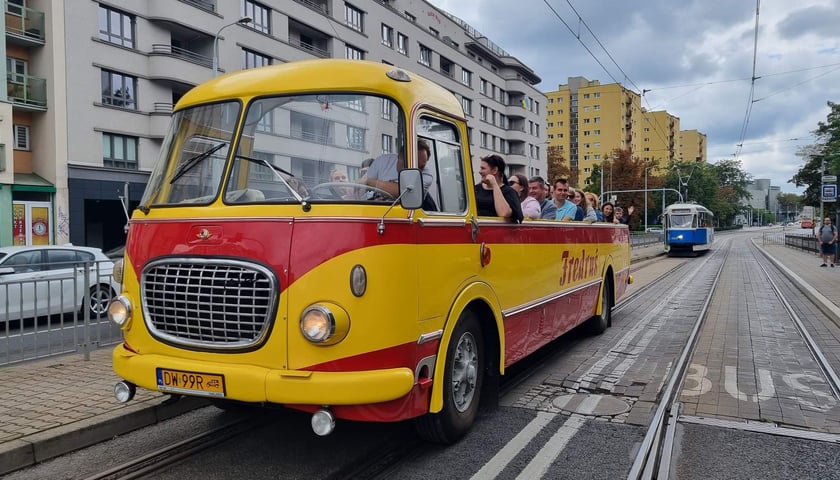 Zabytkowy autobus-kabriolet "Fredruś" na ulicach Wrocławia, lato 2022
