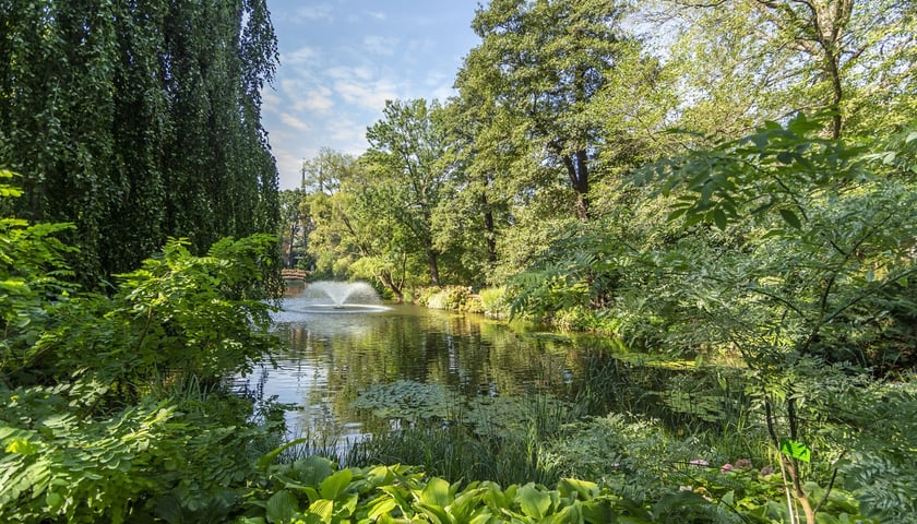Ogród Botaniczny we Wrocławiu to miejsce, w którym znajdziemy mnóstwo ciekawych roślin