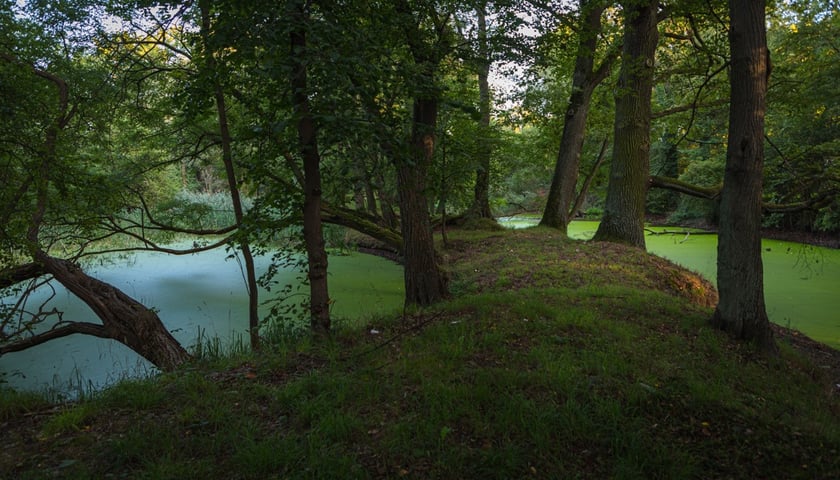 Dwór w Komorowicach pod Wrocławiem leży nad rzeką Ślęzą