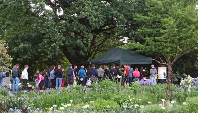 Kiermasz roślin w Ogrodzie Botanicznym