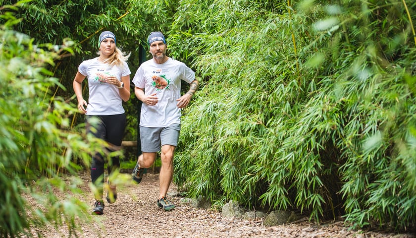 W poprzednich edycjach biegu Wild Run łącznie udział wzięło około 4,5 tysiąca biegaczy