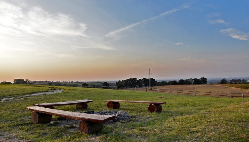 Widok z góry Wiszniak