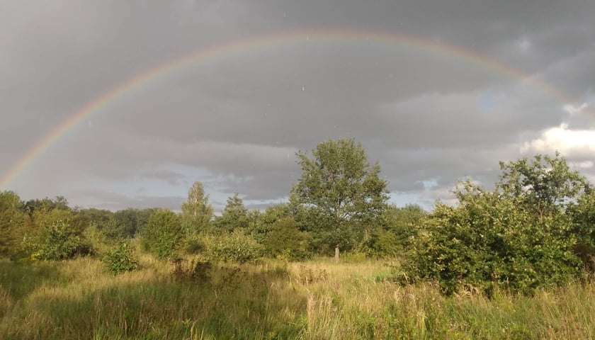 Przepiękna tęcza nad Wrocławiem pojawiła się w piątek (16 września) 