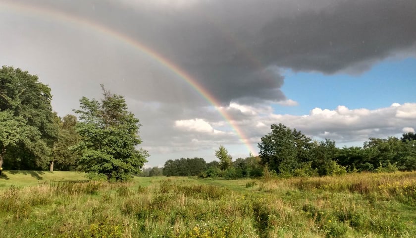 Na zdjęciu piątkowa tęcza nad Wrocławiem