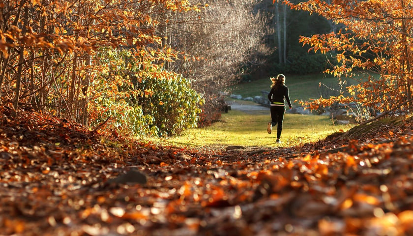 Aktywność fizyczna jesienią może pomóc w budowaniu odporności. Warto jednak pamiętać o odpowiednim odżywianiu i ubiorze