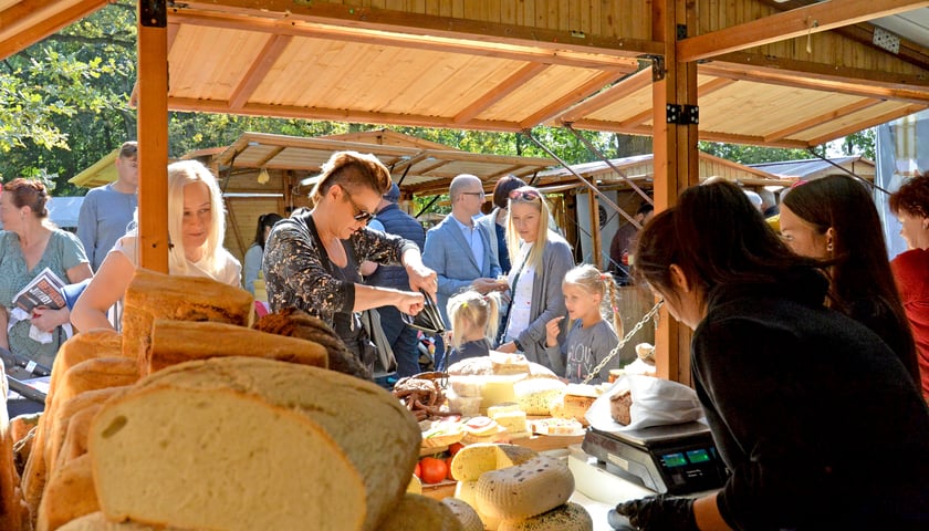 Święto sera i wina odbędzie się na terenach przy pałacu na wrocławskich Pawłowicach. Na zdjęciu widać stoisko z różnymi gatunkami serów