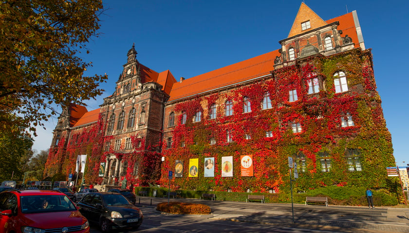 Na zdjęciu Muzeum Narodowe we Wrocławiu w jesiennej odsłonie. W najbliższych dniach czeka nas piękna, złota jesień...