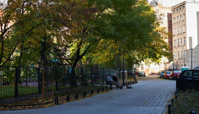 Na zdjęciu: drzewa, nowy chodnik i wrocławianie siedzący na ławce na wyremontowanym podwórku na Nadodrzu (pomiędzy ulicami Pobożnego, Ołbińską i Niemcewicza).