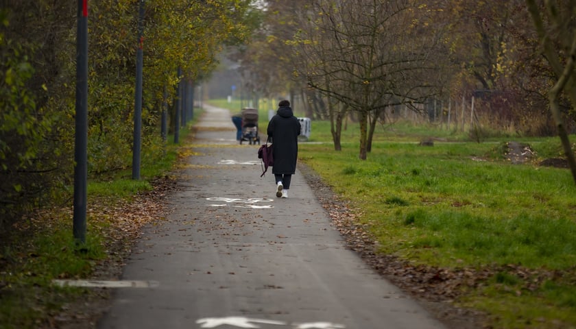 Na zdjęciu ilustracyjnym: kobieta spacerująca Promenadą Krzycką