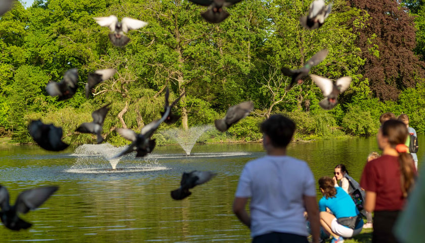 Na zdjęciu Park Południowy