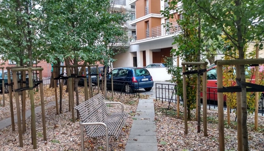 Na zdjęciu podwórko otoczone ulicami: Mierniczą, Komuny Paryskiej, Pułaskiego i Traugutta. Widać betonową ścieżkę i ławkę wśród szpaleru posadzonych grusz. Teren wysypany jest kamyczkami.