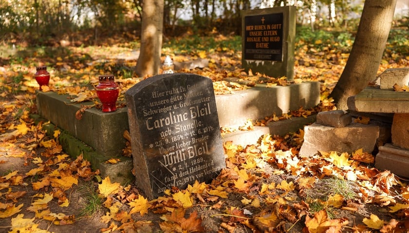 Stele nagrobne odkryte w 2014 r. na terenie niewielkiego cmentarza przy ul. Krzyckiej
