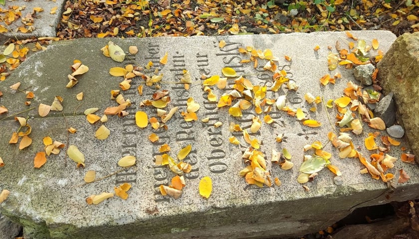 <p>Poniemiecki nagrobek w zagajniku na Muchoborze Małym</p>