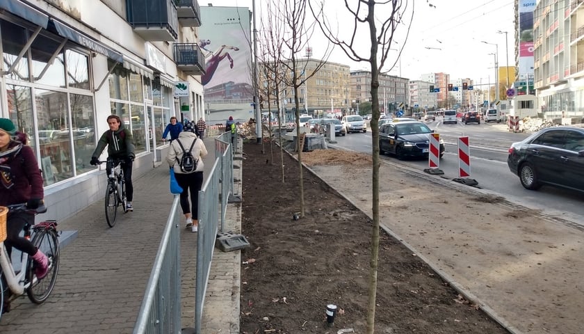 Na zdjęciu budowa drogi rowerowej przy ul. Sądowej. Widać świeżo posadzone drzewa, przygotowywaną trasę i jadących na razie chodnikiem rowerzystów.