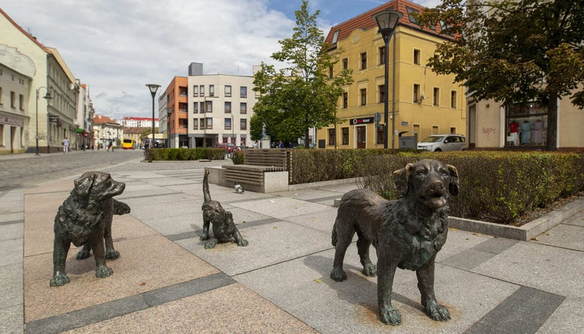 Posągi psów na rynku Psiego Pola