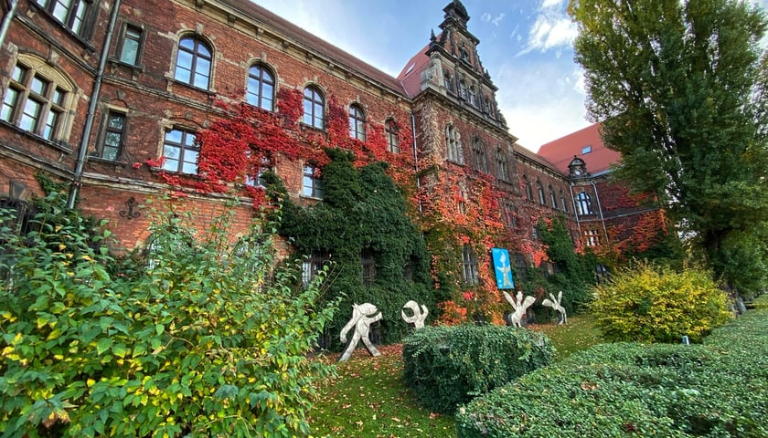 Na zdjęciu widać budynek Muzeum Narodowego we Wrocławiu w jesiennych barwach czerwonego bluszczu 