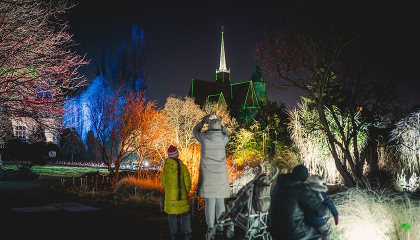 Tak wyglądała iluminacja wrocławskiego Ogrodu Botanicznego w ubiegłych latach. Na zdjęciu widać podświetlony różnymi kolorami Ogród, na pierwszym planie rodzina, która ogląda iluminacje. 