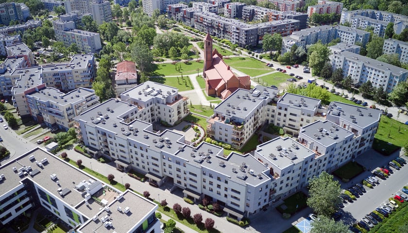 30 maja 2019 r., ul. Idzikowskiego. Źródło:  Corvus monedula / fotopolska.eu